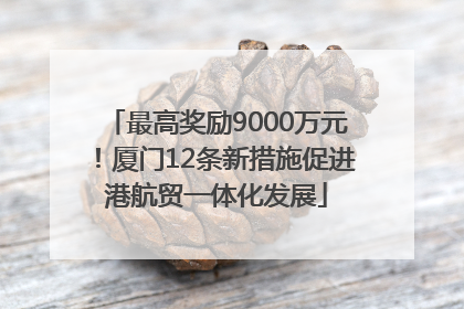 最高奖励9000万元！厦门12条新措施促进港航贸一体化发展