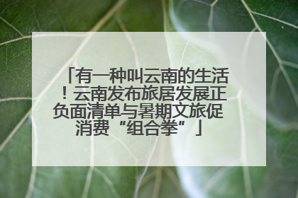 有一种叫云南的生活！云南发布旅居发展正负面清单与暑期文旅促消费“组合拳”