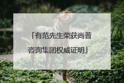 有范先生荣获尚普咨询集团权威证明