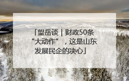 望岳谈｜财政50条“大动作”，这是山东发展民企的决心