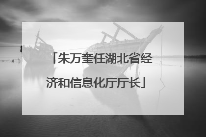 朱万奎任湖北省经济和信息化厅厅长