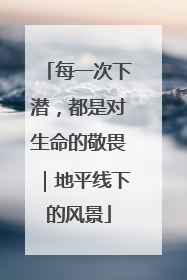 每一次下潜，都是对生命的敬畏｜地平线下的风景