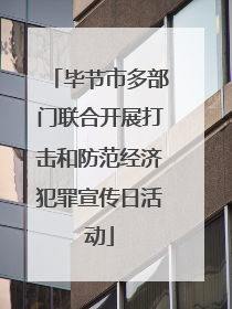 毕节市多部门联合开展打击和防范经济犯罪宣传日活动