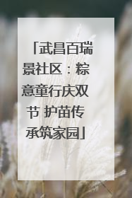 武昌百瑞景社区：粽意童行庆双节 护苗传承筑家园