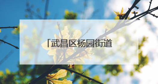 武昌区杨园街道：“特殊”踏青心相连 架起包容友爱“连心桥”