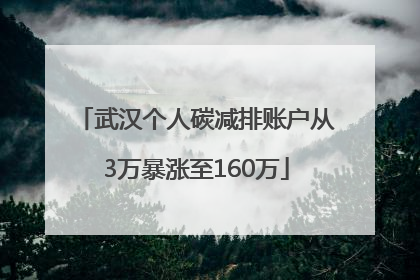 武汉个人碳减排账户从3万暴涨至160万