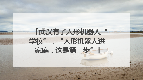 武汉有了人形机器人“学校”，“人形机器人进家庭，这是第一步”