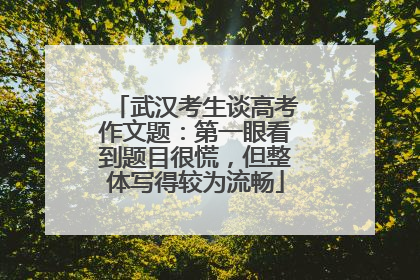 武汉考生谈高考作文题：第一眼看到题目很慌，但整体写得较为流畅