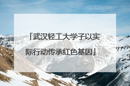 武汉轻工大学子以实际行动传承红色基因