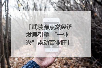 武陵源点燃经济发展引擎 “一业兴”带动百业旺