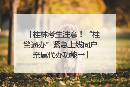 桂林考生注意！“桂警通办”紧急上线同户亲属代办功能→