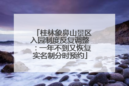 桂林象鼻山景区入园制度反复调整：一年不到又恢复实名制分时预约