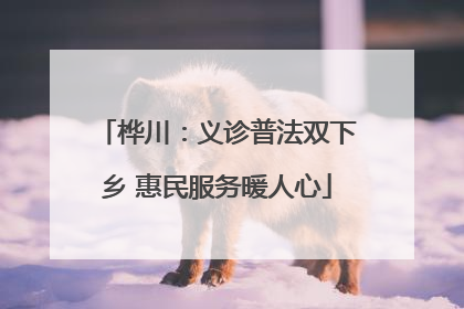桦川：义诊普法双下乡 惠民服务暖人心