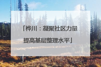 桦川：凝聚社区力量 提高基层整理水平