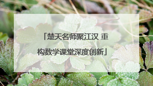 楚天名师聚江汉 重构数学课堂深度创新