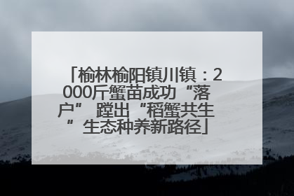 榆林榆阳镇川镇：2000斤蟹苗成功“落户” 蹚出“稻蟹共生”生态种养新路径