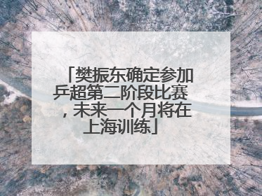 樊振东确定参加乒超第二阶段比赛，未来一个月将在上海训练
