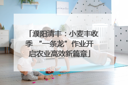 濮阳清丰：小麦丰收季 “一条龙”作业开启农业高效新篇章
