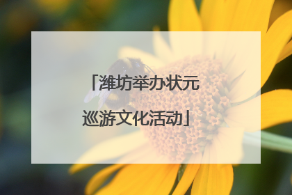 潍坊举办状元巡游文化活动