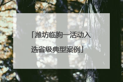 潍坊临朐一活动入选省级典型案例