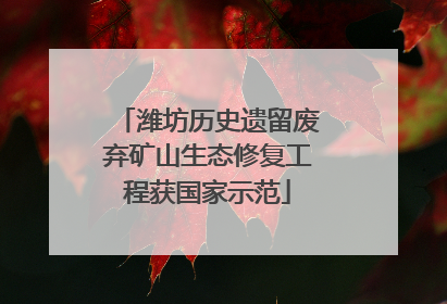 潍坊历史遗留废弃矿山生态修复工程获国家示范