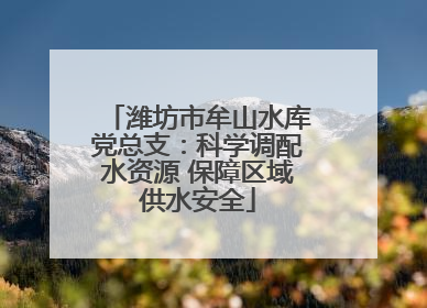 潍坊市牟山水库党总支：科学调配水资源 保障区域供水安全