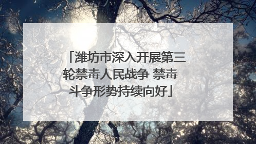 潍坊市深入开展第三轮禁毒人民战争 禁毒斗争形势持续向好