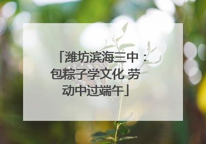 潍坊滨海三中：包粽子学文化 劳动中过端午