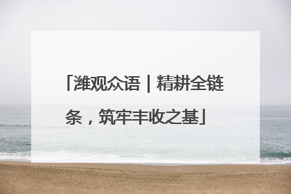 潍观众语｜精耕全链条，筑牢丰收之基