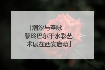潮汐与圣咏——黎玲巴尔干水彩艺术展在西安启幕