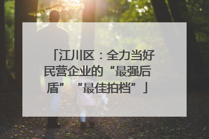 江川区：全力当好民营企业的“最强后盾”“最佳拍档”