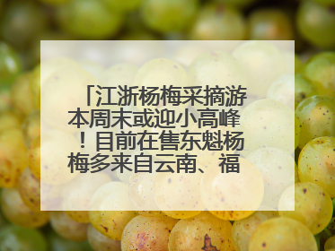 江浙杨梅采摘游本周末或迎小高峰！目前在售东魁杨梅多来自云南、福建，浙江露天东魁杨梅6月中旬大量上市