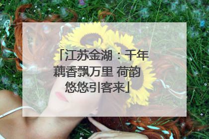 江苏金湖：千年藕香飘万里 荷韵悠悠引客来