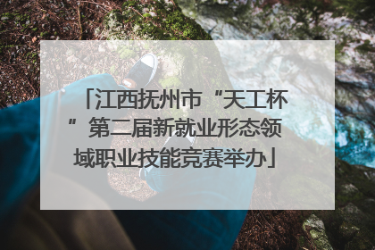 江西抚州市“天工杯”第二届新就业形态领域职业技能竞赛举办