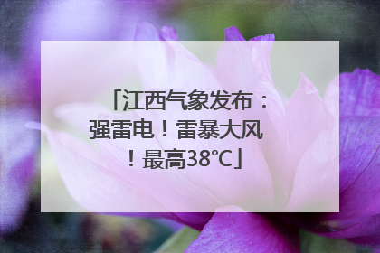 江西气象发布：强雷电！雷暴大风！最高38℃