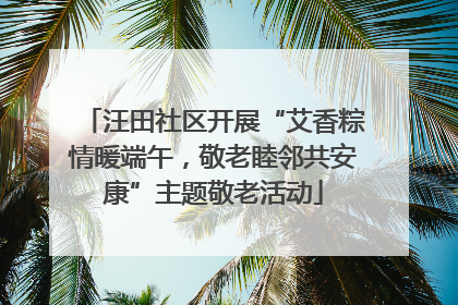 汪田社区开展“艾香粽情暖端午，敬老睦邻共安康”主题敬老活动