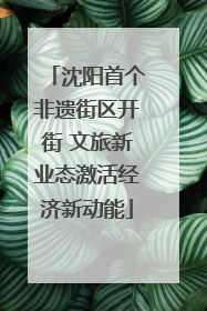 沈阳首个非遗街区开街 文旅新业态激活经济新动能