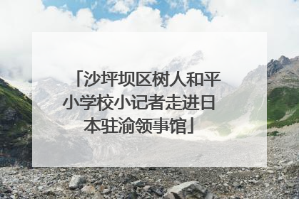 沙坪坝区树人和平小学校小记者走进日本驻渝领事馆
