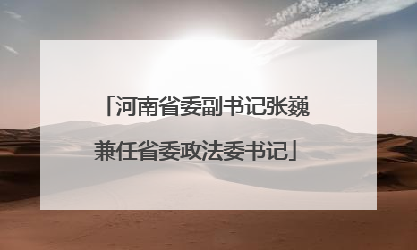 河南省委副书记张巍兼任省委政法委书记