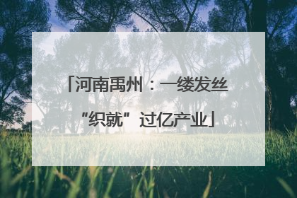 河南禹州：一缕发丝“织就”过亿产业