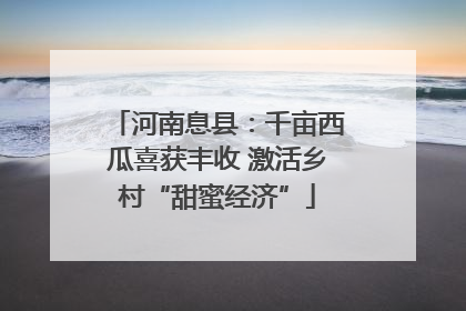 河南息县：千亩西瓜喜获丰收 激活乡村“甜蜜经济”