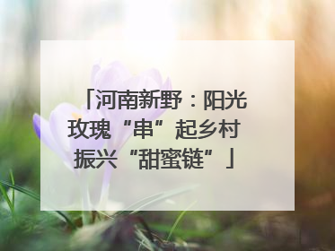 河南新野：阳光玫瑰“串”起乡村振兴“甜蜜链”