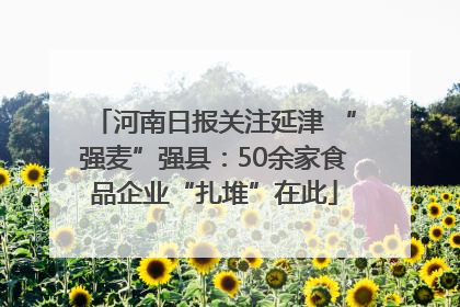 河南日报关注延津 “强麦”强县：50余家食品企业“扎堆”在此