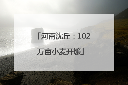 河南沈丘：102 万亩小麦开镰