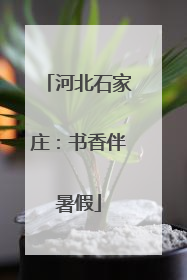 河北石家庄：书香伴暑假