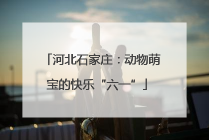 河北石家庄：动物萌宝的快乐“六一”