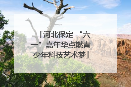 河北保定 “六一”嘉年华点燃青少年科技艺术梦