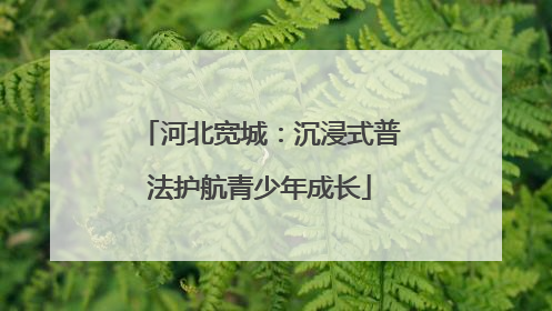 河北宽城：沉浸式普法护航青少年成长