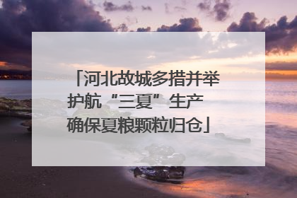河北故城多措并举护航“三夏”生产 确保夏粮颗粒归仓