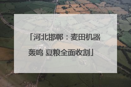 河北邯郸：麦田机器轰鸣 夏粮全面收割